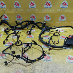 Коса ДВС Land Rover 204PT Range Rover Evoque L538 '2013 2.0L 16V TIVCT BJ3212B637AD, LR033045