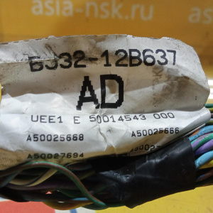 Коса ДВС Land Rover 204PT Range Rover Evoque L538 '2013 2.0L 16V TIVCT BJ3212B637AD, LR033045