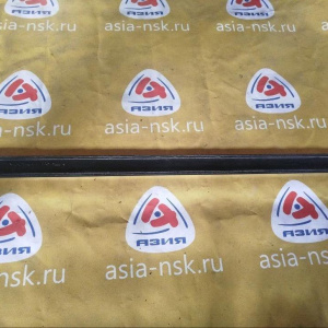 Накладка на дверь Toyota Raum EXZ10 L F