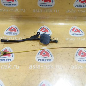 Щуп Ford 2S606857BD Fiesta 5 CBK/JH/JD/JU F6JB '2007 +Направляющая труба