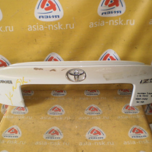 Накладка 5-й двери Toyota C-HR NGX10 '2016-2023 76811-F4040 (76811F4010)