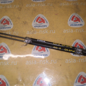 Амортизатор задней двери Mazda CX-3 DK5FW (пара) D10E62620A