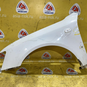 Крыло Hyundai Sonata NF/EK '2005-2010 перед, лев под повторитель, белое, вмятины, царапины